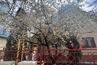 Casa de inchiriat, zona Horea, Floresti - 13