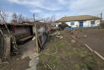 Casă cu 3 camere cu Teren 2029 Mp în Sabangia