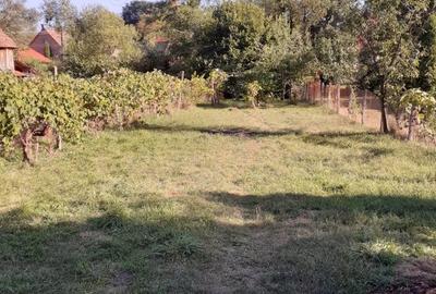 Casă în Central - 7