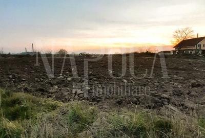 Teren de 523 mp, în Oncea - 1