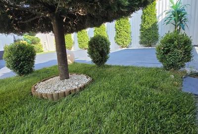 Casă individuală cu 4 camere cu Canalizare în Berceni - 7