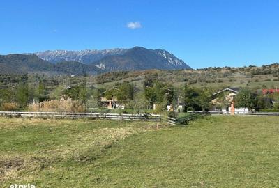 Spațiu comercial, în Tohanu Nou