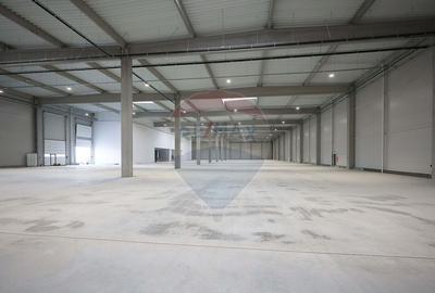 Hala de vanzare, Sc 7014mp, Zona Biharia - 1
