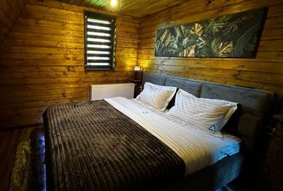 Casa Bran complet mobilata si utilata - 12