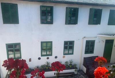 Casă cu 11 camere cu Teren 357 Mp în Cetății - 13