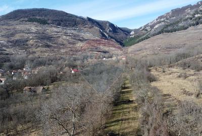 Casă cu 2 camere cu Teren 1884 Mp în Izvoarele (Livezile) - 23