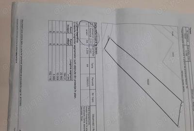 Teren de 4200 mp, în Sâncel - 3