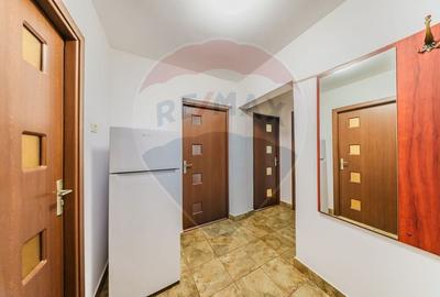 Apartament cu 2 camere decomandat, mobilat în Podgoria - 12