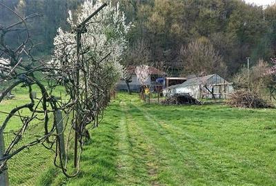 Casa si 3919 mp teren intravilan  in  Bucuresci, jud. Hunedoara - 7