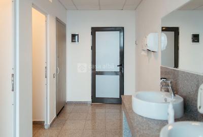 Tudor Vladimirescu - spatiu birouri clasa A, READY TO MOVE - 5