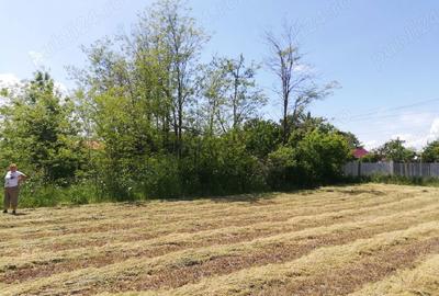 Casă cu 1 camere cu Teren 2500 Mp în Radu Vodă - 3