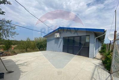 Teren cu hala, Bucsani, Crevedia / DN 61 (A1, A0) 40 Km ... - 6