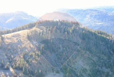 Teren 31,461mp Panaci / Prelungirea Ialovita - 2