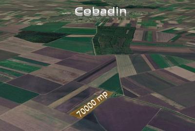 Teren de 70000 mp, în Cobadin - 2
