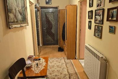 Vand apartament 3 camere decomandat Deva, George Enescu, parter inalt - 10