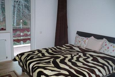 Casă cu 6 camere în Clăbucet - 16