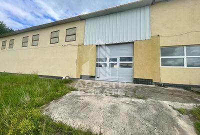 Spatii productie si depozitare, zona Sebis - Prunisor-Carand - 3