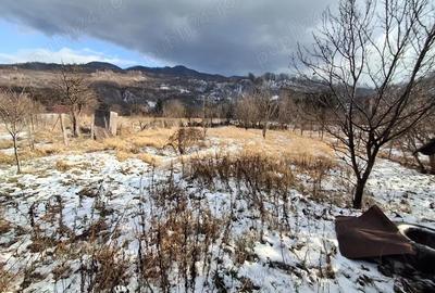 Casă cu 2 camere cu Teren 1497 Mp în Poiana Sărată - 6