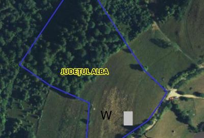 Teren de 17278 mp, în Teiu - 3