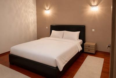 Apartament cu 3 camere decomandat, mobilat în Costin Georgian - 4
