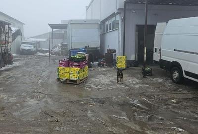 Hala 300 mp + teren 750 mp Popesti Leordeni - 3