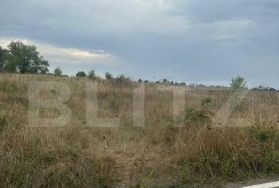 Teren intravilan/extravilan, 1500 mp, Cazaci - 1