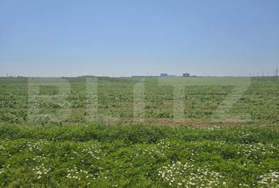 Teren de 2107 mp, în Central