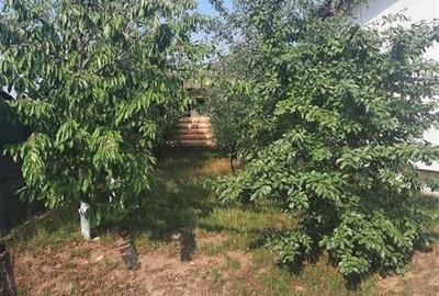 Casa individuala, Burdujeni, C-4824 - 7