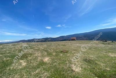 Teren intravilan 3000 mp cu utilitati in Paltinis judet Sibiu - 3