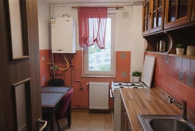 Apartament cu 2 camere semidecomandat, mobilat în Astra - 2