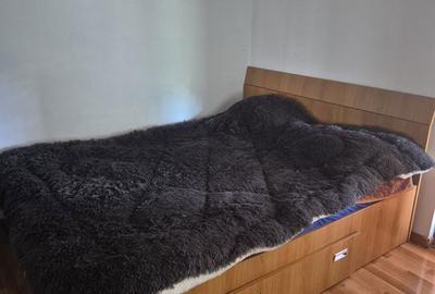 Casă cu 4 camere în Iordăcheanu - 2