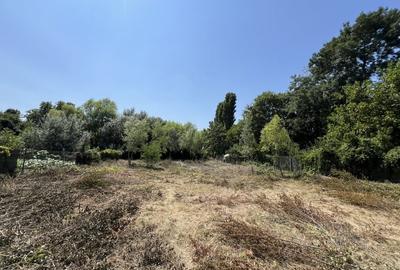 Teren Manastirea Snagov. Deschidere lac 22 m. Front stradal 30 metri. Teren Manastirea Snagov. Deschidere lac 22 m. Front stradal 30 metri. - 5