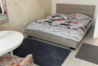 Garsonieră decomandată în Lotrioara - 6