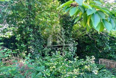 Casa individuala - zona inalta Bujac - 10