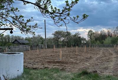 Casă cu 4 camere în Dănicei - 2