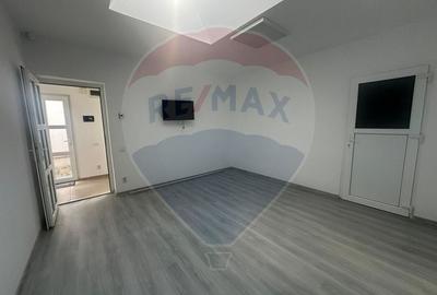 Inchiriere casa in zona Theodor Pallady - 3