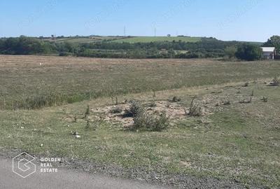 Terenuri 3699 mp, oras Lipova - 1