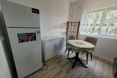Inchiriere apartament 2 camere, zona Calea Mosilor - 11