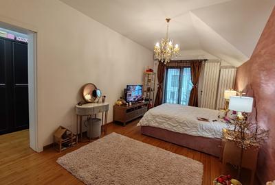 Vila spatioasa de inchiriat 7 camere cu gradina  si terasa spectaculoasa - 19