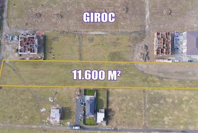 Teren arabil intravilan pentru PUZ 11.600mp | Giroc - 4