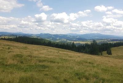 Teren de 160000 mp, în Breaza - 7