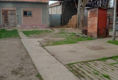 Casă cu 4 camere în Biharia - 1