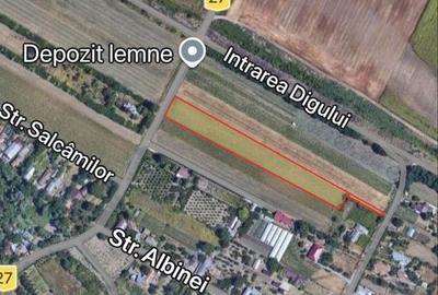 Spațiu comercial, în Chirnogi - 5