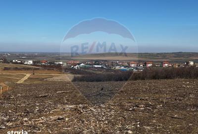 Teren de 618 mp, în Oncea - 7