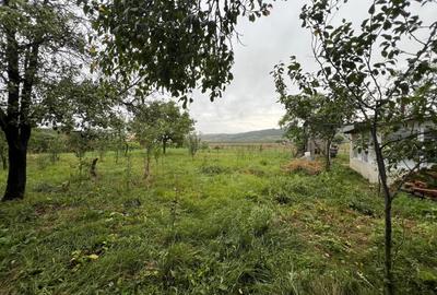 Teren 1300 mp, Intravilan Podu Iloaiei Erbiceni - 2