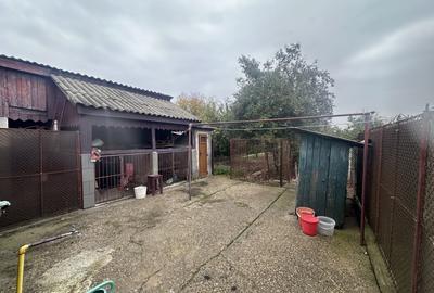 Casă individuală cu 4 camere cu Teren 791 Mp în Cetate - 13