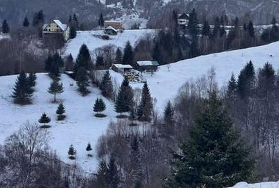 Teren de 1200 mp, în Dâmbovicioara - 7