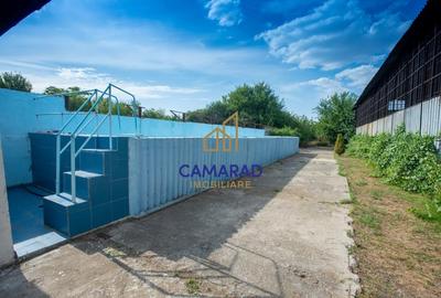 Casa si teren de 9000 mp - ideal investitie - Fundeni/Calarasi - 7