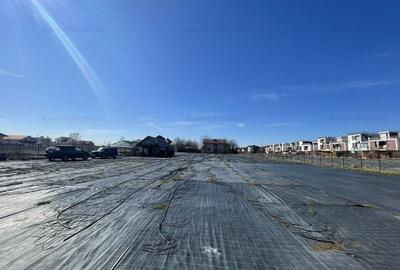 Teren Str. Livezilor - Mogosoaia - Comision 0% - 7