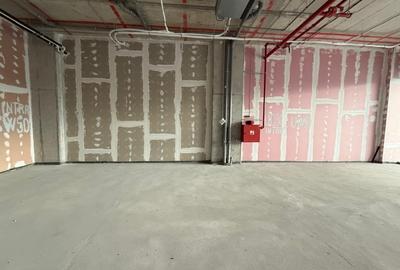 Spatiu comercial 110 MP plus TERASA 48 MP - 3